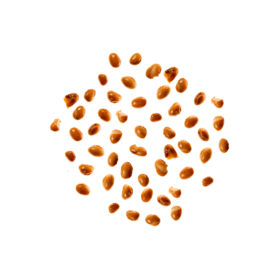 Fagioli